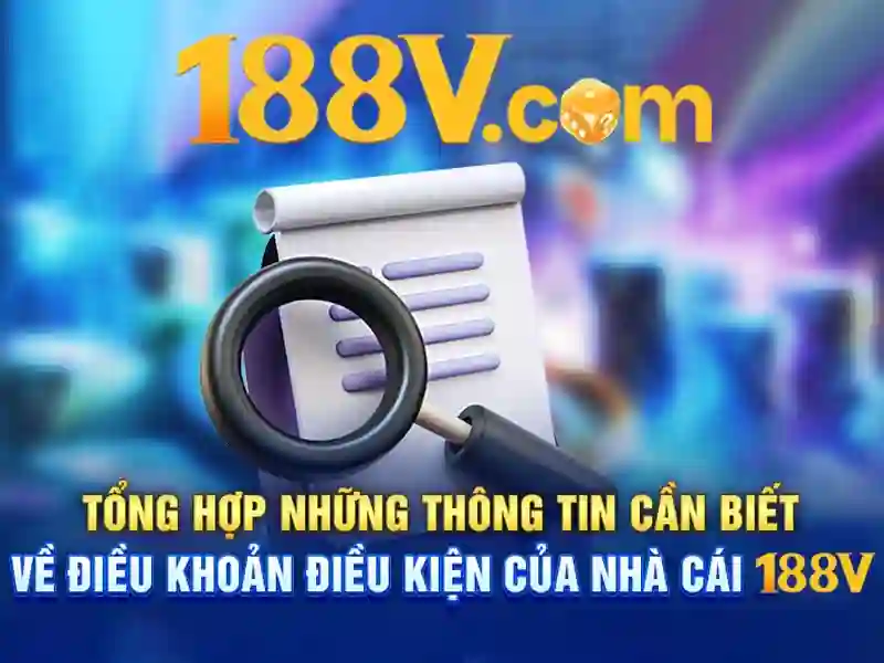 Trải nghiệm người dùng và phản hồi cộng đồng