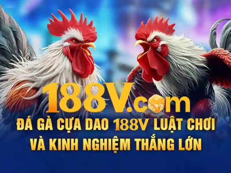 Sản phẩm và Dịch vụ chính: ứng dụng thực tế của 188v uy tín không