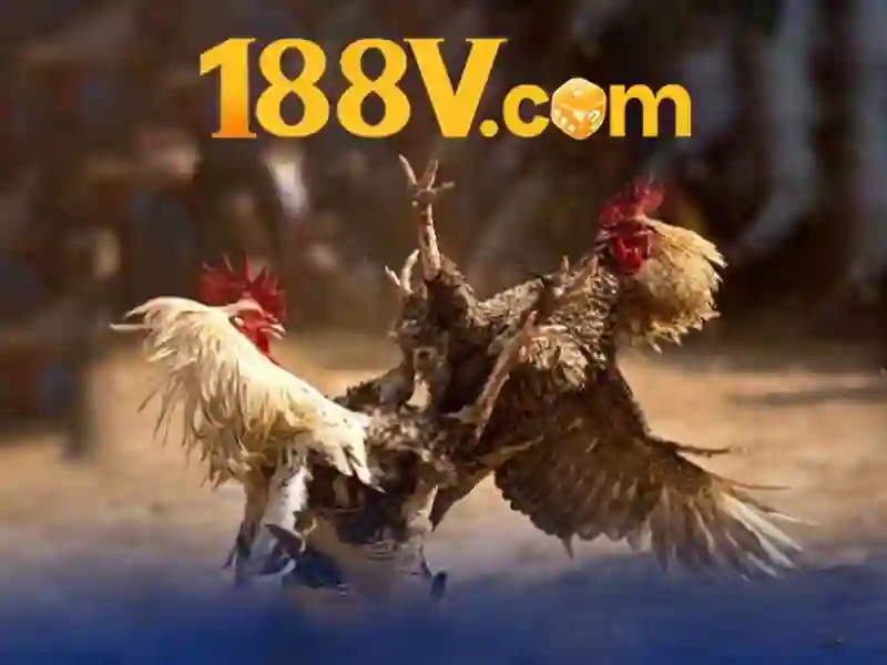 Nạp tiền 188v – Tổng quan chủ đề và giá trị cốt lõi