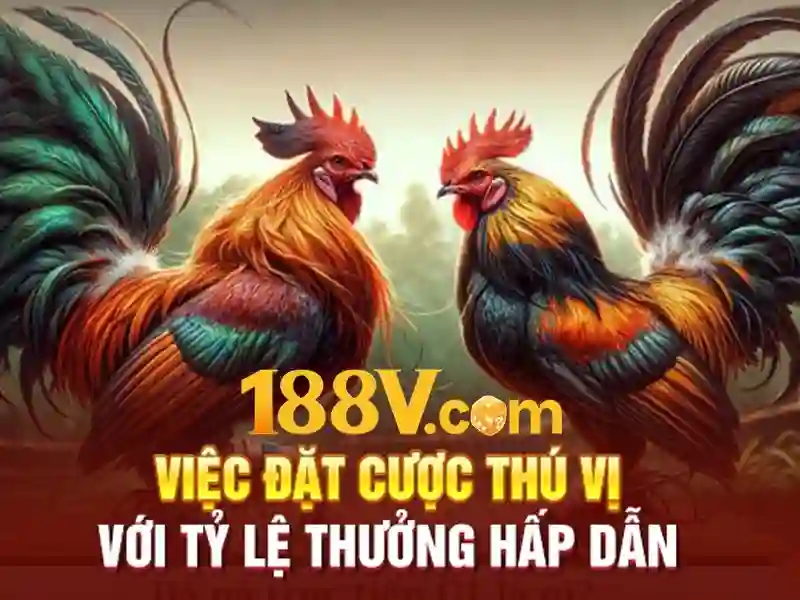 Giao diện nhà cái hoàn hảo