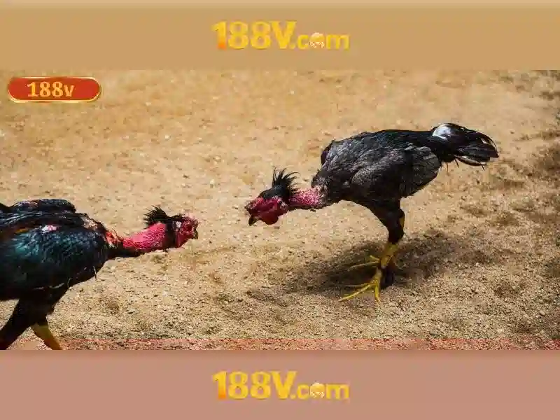 'Sản phẩm và dịch vụ chính: 188v com tải app'