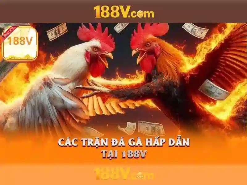 Khái niệm về 188v