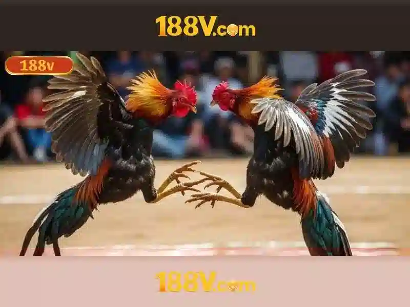 188v: một hành trình kiên nhẫn và sáng tạo Giao diện nhà cái hoàn hảo