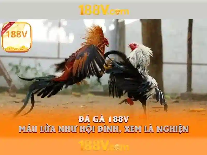 Nguyên lý và cảm nhận