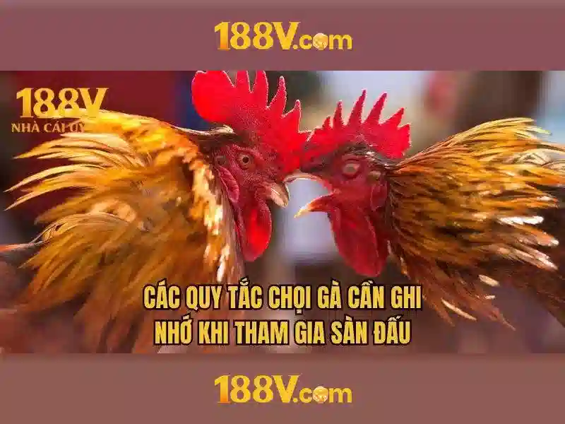 188v có lừa đảo không – chủ đề và giá trị