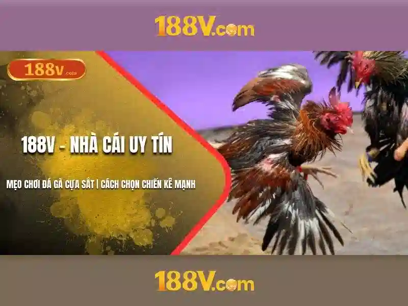 Hiểu rõ 188V và các ứng dụng của nó
