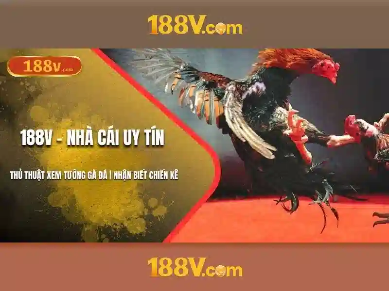 Khởi đầu của 188v