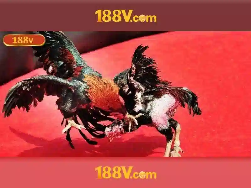 nhận thưởng 188v: Trải nghiệm và tin tưởng