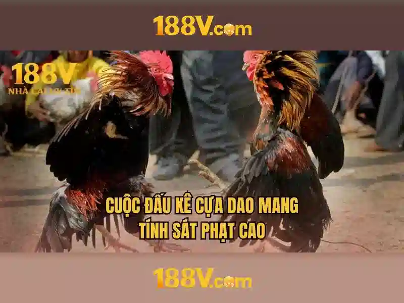 188v 188vv com vn - Trải nghiệm eSports và hướng dẫn 188v Giao diện nhà cái hoàn hảo