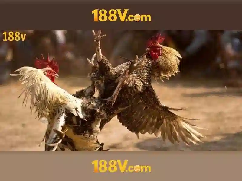 188v tải - Trải nghiệm tối ưu với 188v c và 188v apk