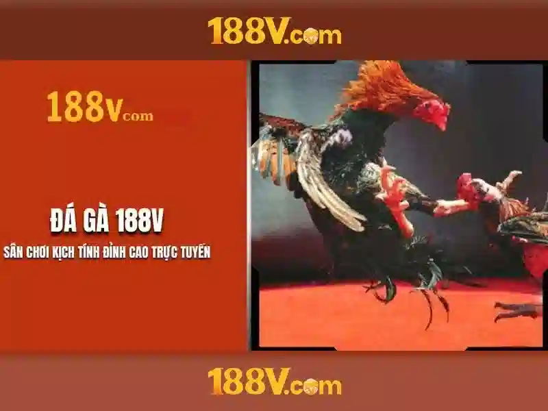 Khám phá nguồn gốc của 188v