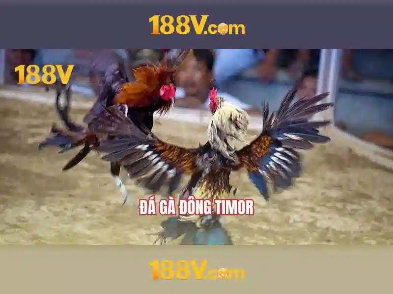 Nguồn gốc và sứ mệnh của 188v no hũ