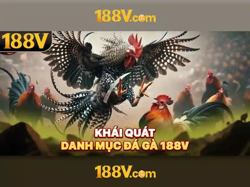 Giao diện nhà cái hoàn hảo