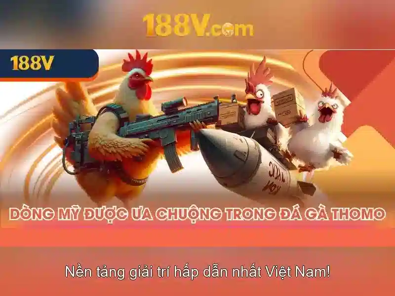 Giao diện nhà cái hoàn hảo