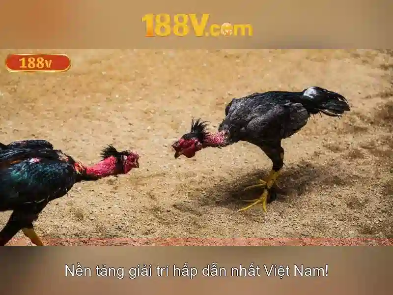Kỹ thuật và công nghệ liên quan đến 188v