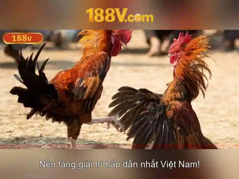 Ảnh hưởng và tiềm năng tương lai của 188v