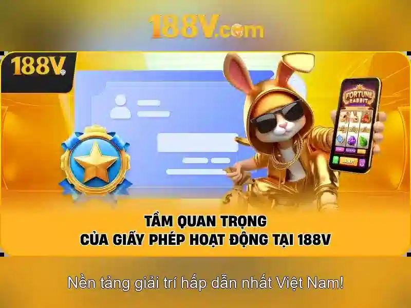 Trải nghiệm người dùng và phản hồi cộng đồng\n