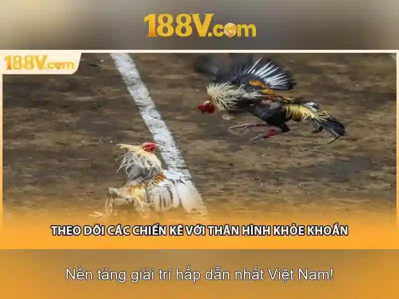 Kết luận