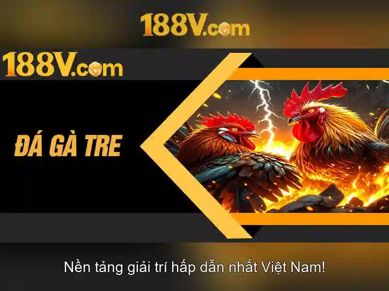 Khởi đầu với 188v\n
