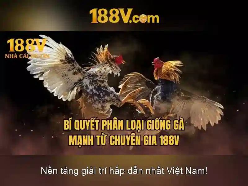 Khám phá 188V: khái niệm, ứng dụng và ý nghĩa