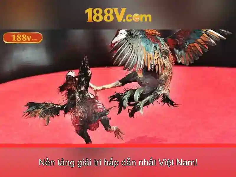 Khái niệm 188v