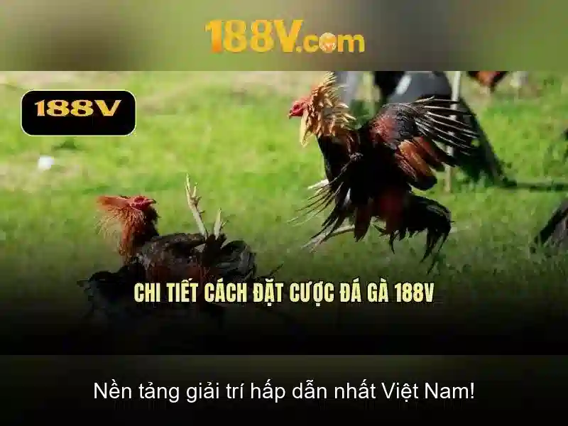 Ứng dụng của 188v trong ô tô điện và hệ thống phân phối