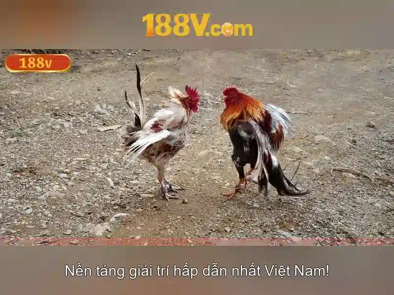 Khái niệm và ý nghĩa\n