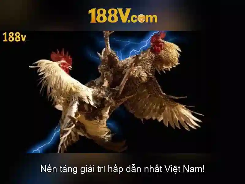 Khám phá 188v: một công nghệ đang nổi lên Giao diện nhà cái hoàn hảo