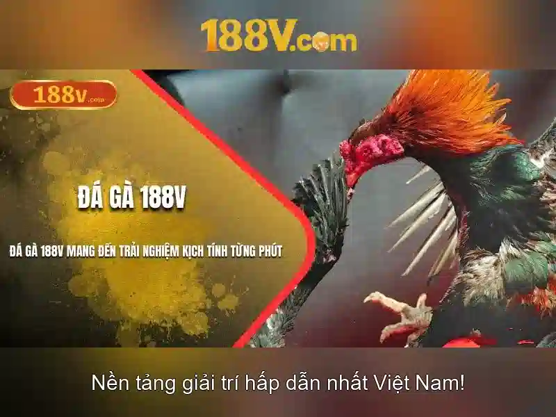 Khía cạnh lịch sử và tương lai của 188v
