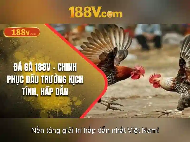 188v: Khái niệm, đặc điểm và ứng dụng Giao diện nhà cái hoàn hảo