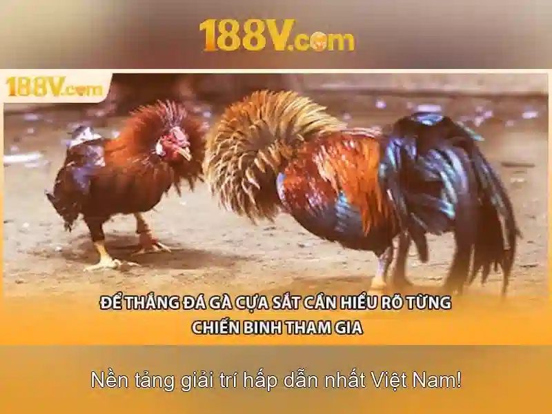 Khám phá 188V: một khái niệm trong thế giới công nghệ