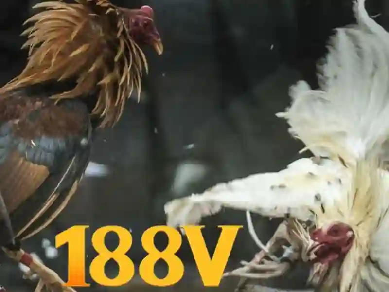 188v: Hành trình khám phá một con số và ý nghĩa của nó Giao diện nhà cái hoàn hảo
