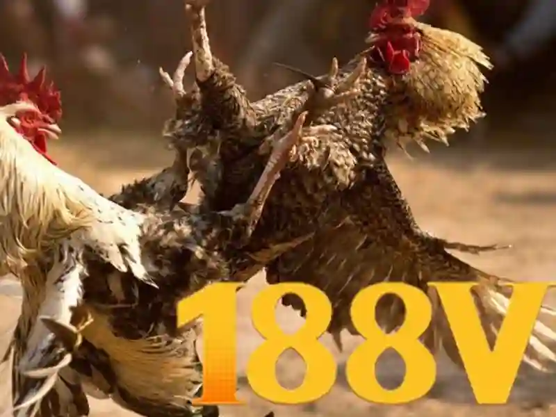 Hiểu về 188V: Điện áp và an toàn khi làm việc Giao diện nhà cái hoàn hảo